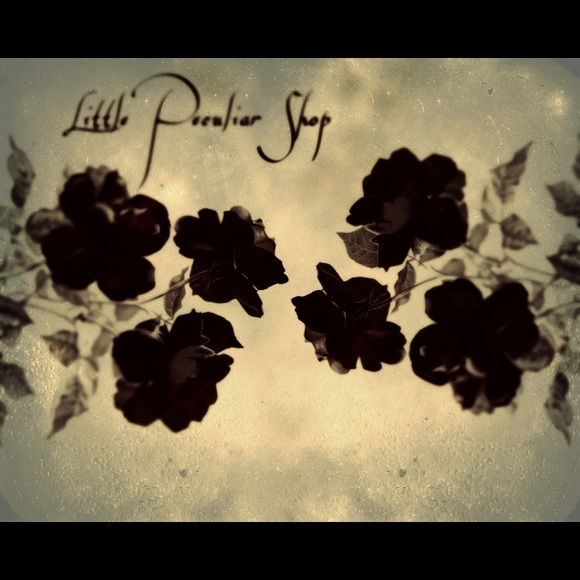 Meet your Posher, Little Peculiar Shop - Picture 1 of 1